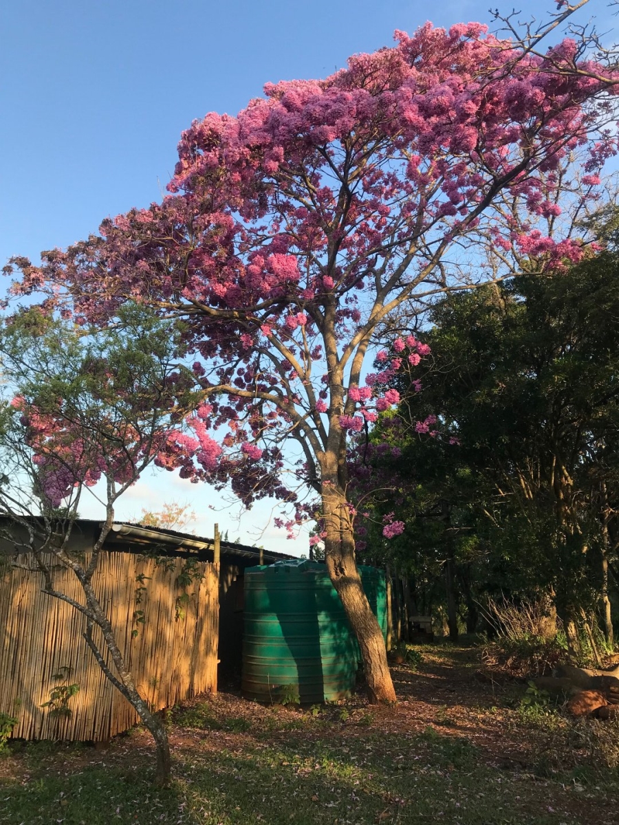  Bedroom Property for Sale in East London Rural Eastern Cape
